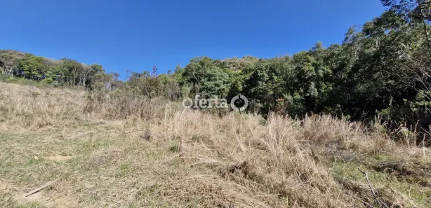 Fazenda / Sítio / Chácara à venda, 20501m² no Área Rural de Araucária, Araucária