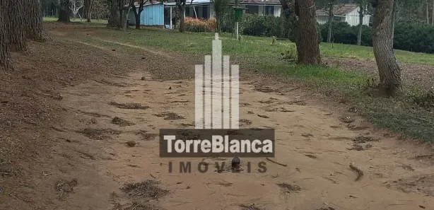 Fazenda / Sítio / Chácara com 3 Quartos à venda, 70m² no Guaragi, Ponta Grossa