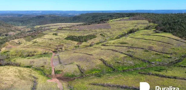Fazenda / Sítio / Chácara à venda, 488m² no , Ponte Alta do Tocantins