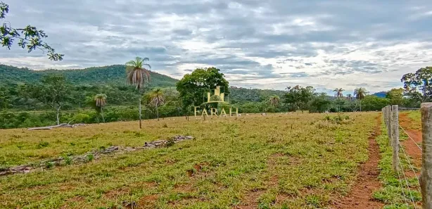 Fazenda / Sítio / Chácara com 2 Quartos à venda, 3388000m² no Área Rural de Formosa, Formosa