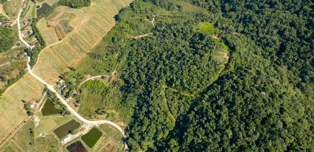 Fazenda / Sítio / Chácara com 3 Quartos à venda, 140m² no Sai, São Francisco do Sul