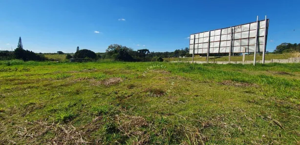 Terreno / Lote / Condomínio para venda ou aluguel, 9500m² no Chácaras São Martinho, Campinas
