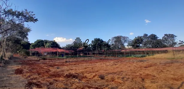 Fazenda / Sítio / Chácara com 3 Quartos à venda, 24200m² no , Cravinhos