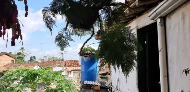 Sobrado com 5 Quartos à venda, 354m² no Muritiba, Muritiba