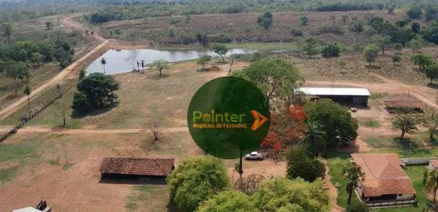 Fazenda / Sítio / Chácara à venda, 5320000m² no Área Rural de Gurupi, Gurupi