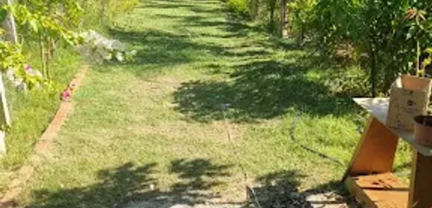 Fazenda / Sítio / Chácara com 1 Quarto à venda, 80m² no Área Rural de Rio das Pedras, Rio das Pedras