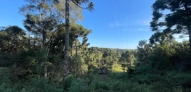 Fazenda / Sítio / Chácara à venda, 5500m² no Pacotuba, Almirante Tamandaré