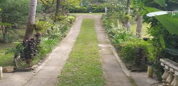 Fazenda / Sítio / Chácara com 4 Quartos à venda, 6500m² no Rosa Machado, Piraí