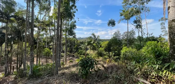 Fazenda / Sítio / Chácara à venda, 11000m² no Massaranduba, Massaranduba