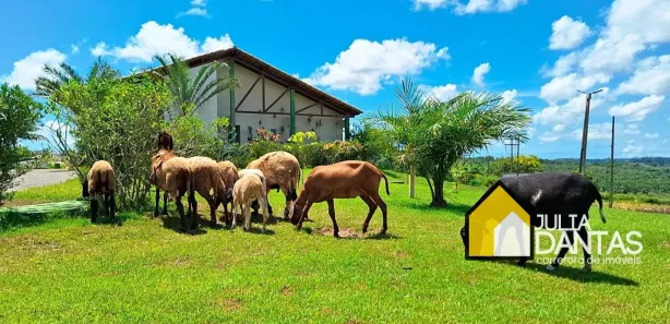 Terreno / Lote / Condomínio à venda, 805m² no Santa Rosa, Simões Filho