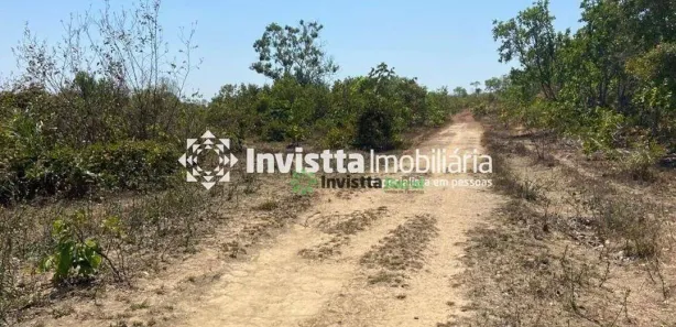 Fazenda / Sítio / Chácara à venda, 794m² no Centro, Pium