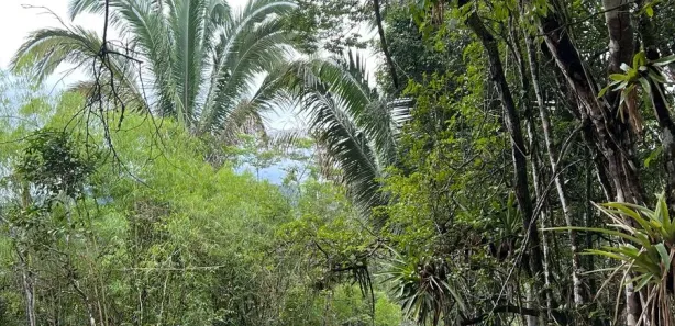 Terreno / Lote / Condomínio à venda, 100m² no , Pacoti