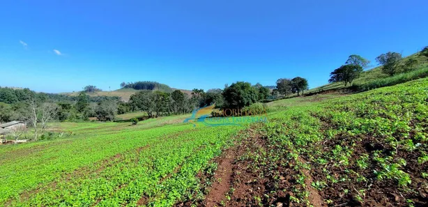 Fazenda / Sítio / Chácara com 5 Quartos à venda, 140360m² no , Guaraniaçu