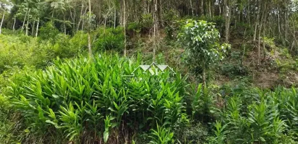 Terreno / Lote / Condomínio à venda, 503m² no Quitandinha, Petrópolis
