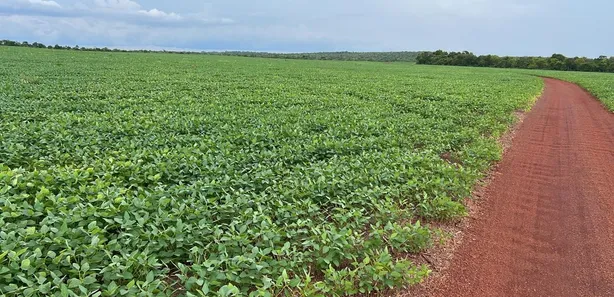 Fazenda / Sítio / Chácara com 7 Quartos à venda, 503m² no , Santa Maria do Tocantins
