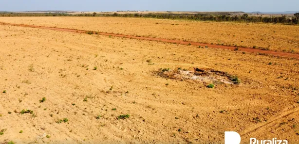 Fazenda / Sítio / Chácara à venda, 1703m² no , Ponte Alta do Tocantins