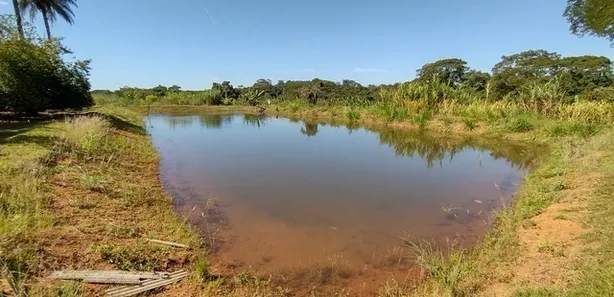 Fazenda / Sítio / Chácara com 4 Quartos à venda, 149000m² no Jardim Roriz, Brasília
