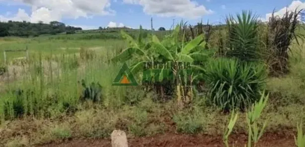 Fazenda / Sítio / Chácara à venda, 100m² no , Assaí
