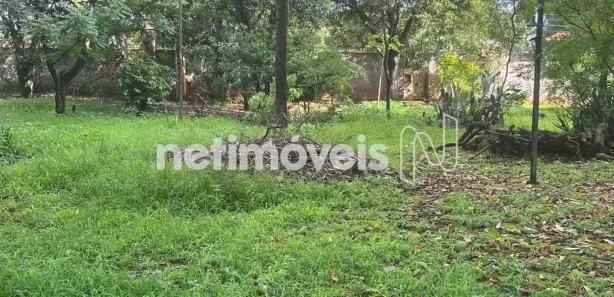 Terreno / Lote Comercial à venda, 2000m² no Centro, São José da Lapa