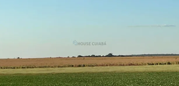 com 3 Quartos à venda, 180m² no , Santa Maria do Tocantins