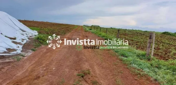 Fazenda / Sítio / Chácara à venda, 745m² no Setor Central, Divinópolis do Tocantins