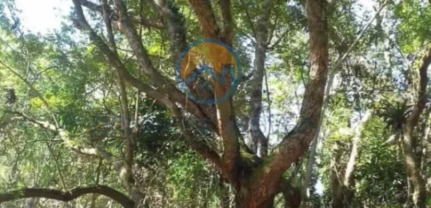 Terreno / Lote / Condomínio à venda, 3000m² no , São Lourenço da Serra