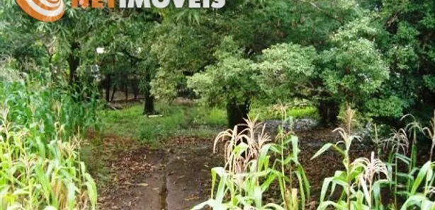 Fazenda / Sítio / Chácara com 3 Quartos à venda, 1080m² no Urca (Justinópolis), Ribeirão das Neves