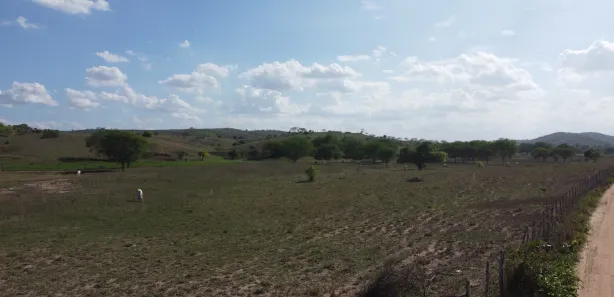 Fazenda / Sítio / Chácara à venda, 170m² no , Passira