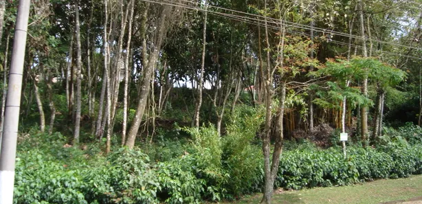 Terreno / Lote / Condomínio à venda, 1000m² no Fontes, Arujá