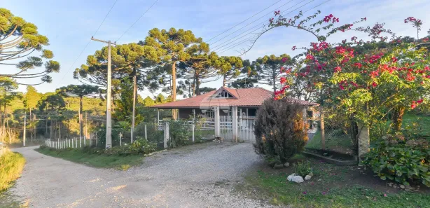 Fazenda / Sítio / Chácara com 3 Quartos à venda, 216m² no Palmeirinha, Campina Grande do Sul