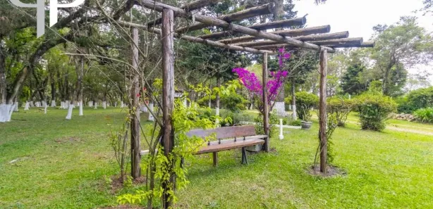 Fazenda / Sítio / Chácara com 4 Quartos para venda ou aluguel, 380m² no Cachoeira, São José dos Pinhais