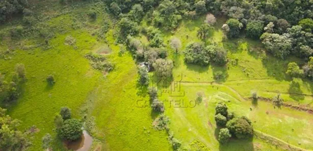 Fazenda / Sítio / Chácara à venda, 1140400m² no , Assaí
