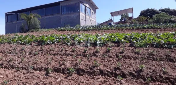 Fazenda / Sítio / Chácara com 1 Quarto à venda, 250m² no Ibiúna, Ibiúna