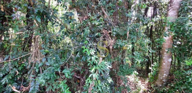Terreno / Lote / Condomínio à venda, 1675m² no Caraguatá, Mairiporã