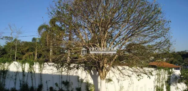 Casa com 3 Quartos para venda ou aluguel, 450m² no Parque Alvorada, Embu-Guaçu