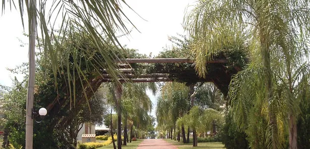 Terreno / Lote / Condomínio à venda, 1250m² no , Sertaneja