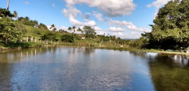 Fazenda / Sítio / Chácara com 7 Quartos à venda, 240000m² no Matriz, Vitória de Santo Antão