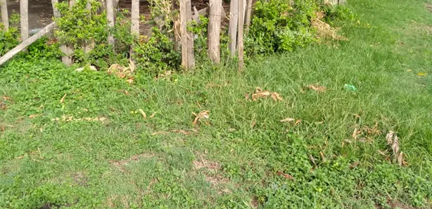 Terreno / Lote / Condomínio à venda, 750m² no , Porto Murtinho