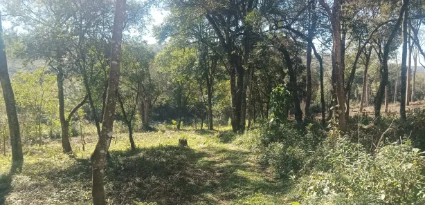 Terreno / Lote / Condomínio à venda, 4451m² no Jardim Boa Vista, Campo Magro
