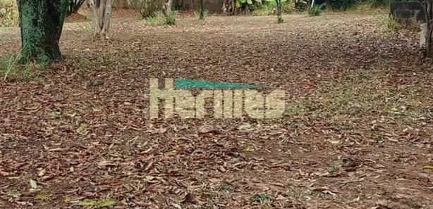 Fazenda / Sítio / Chácara com 4 Quartos para venda ou aluguel, 200m² no Nova Veneza, Paulínia