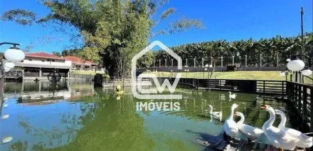 Fazenda / Sítio / Chácara com 5 Quartos à venda, 145000m² no , Massaranduba
