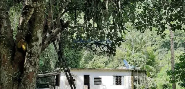Fazenda / Sítio / Chácara à venda, 93000m² no Vargem Pequena, Rio de Janeiro