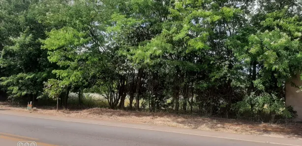 Fazenda / Sítio / Chácara à venda, 2500m² no Planaltina, Brasília