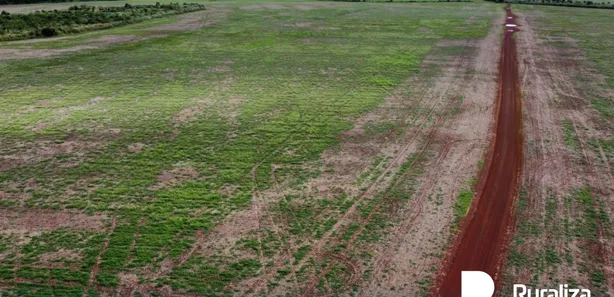 Fazenda / Sítio / Chácara à venda, 4244m² no , Pium