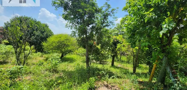 Fazenda / Sítio / Chácara com 2 Quartos à venda, 80m² no Ponunduva, Cajamar