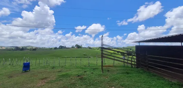 Fazenda / Sítio / Chácara à venda, 304920m² no Centro, Mata de São João