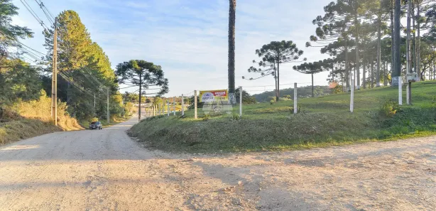 Fazenda / Sítio / Chácara com 3 Quartos à venda, 216m² no Palmeirinha, Campina Grande do Sul