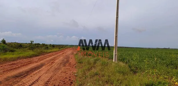 Fazenda / Sítio / Chácara à venda, 28920452m² no , Pedro Afonso