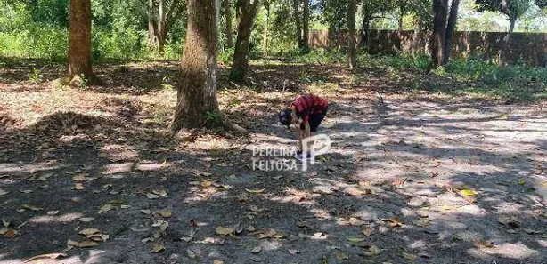 Terreno / Lote / Condomínio à venda, 36967m² no , Itapecuru Mirim