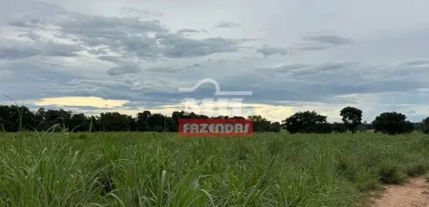 Fazenda / Sítio / Chácara à venda, 500m² no , Formoso do Araguaia